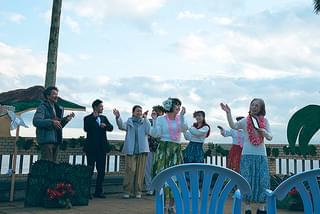 イルカはフラダンスを踊るらしい