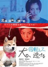 犬、回転して、逃げる