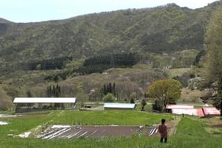 飯舘村 べこやの母ちゃん それぞれの選択