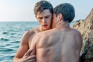 Firebird ファイアバード