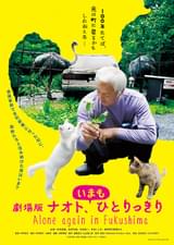 劇場版 ナオト、いまもひとりっきり