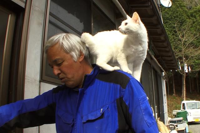 劇場版 ナオト、いまもひとりっきり