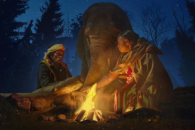 エレファント・ウィスパラー 聖なる象との絆