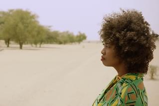 グレート・グリーン・ウォール