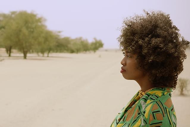 グレート・グリーン・ウォール