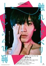 触れッドペリー