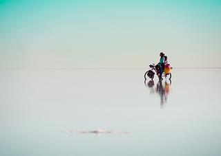 七十七天 Seventy-Seven Days