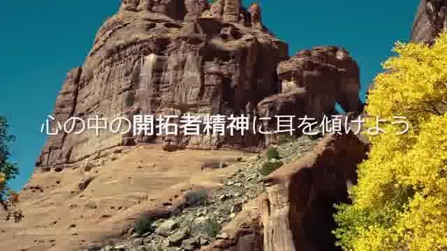 特別映像：ケルプハイウェイ