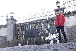 パロディスター