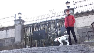 パロディスター