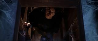 ハウス・バウンド