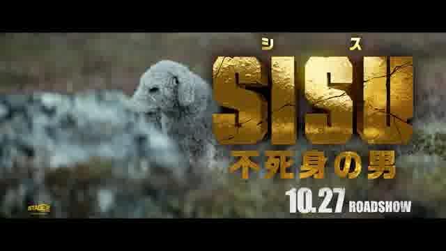 犬は無事です！動画