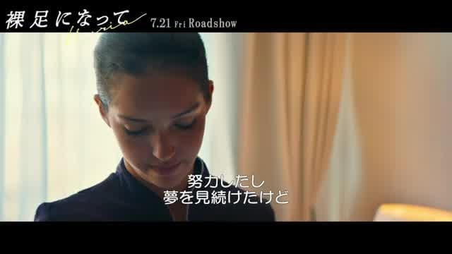 本編映像