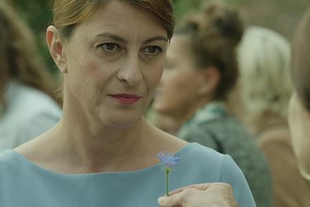 ひとつの青い花