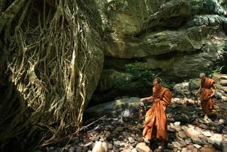 フォービア2 5つの恐怖