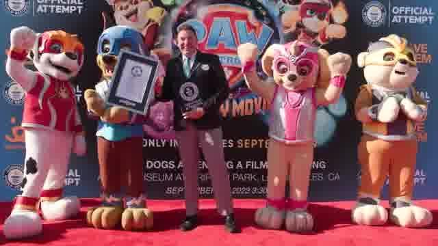 ギネス記録更新特別映像