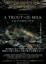 ミルクの中のイワナ