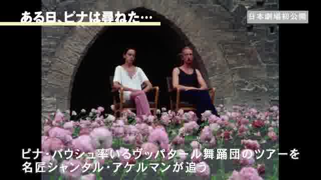 特集「パフォーマンス・アート：身体と空間をめぐる映画祭」予告編