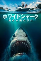 ホワイトシャーク 湖の水面の下に (字幕版)