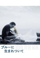 ブルーに生まれついて