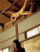 天井に張り付くザ・ブライド