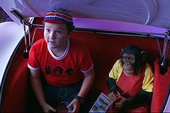 主人公の弟とそのペットのサルは可愛いが、 大人にはウザい!?