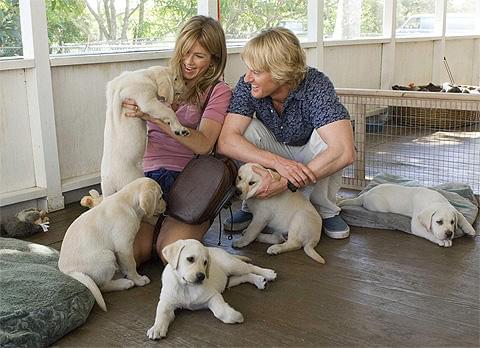 犬と人とが互いにかけがえのない存在に