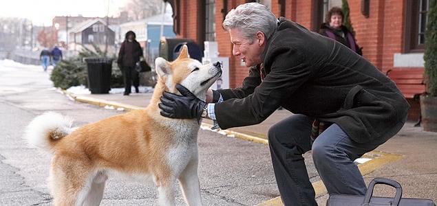 映画パンフレット 2冊セット ボクはむく犬 命を賭けて 洋画 e848y171 HACHI 約束の犬 特集: 海を越え、そして再び日本人を感動させたハチ公