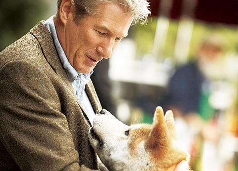 「ハチとパーカーの“絆”に感動」という声が