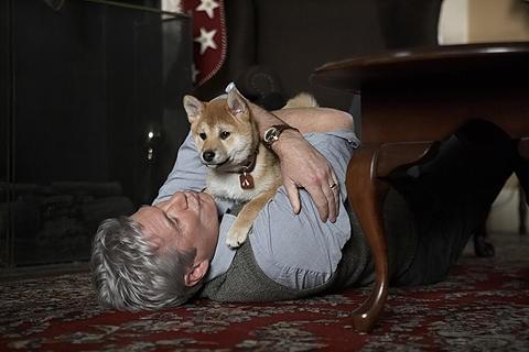 ハルストレム監督の優しい眼差しが作品にマッチ