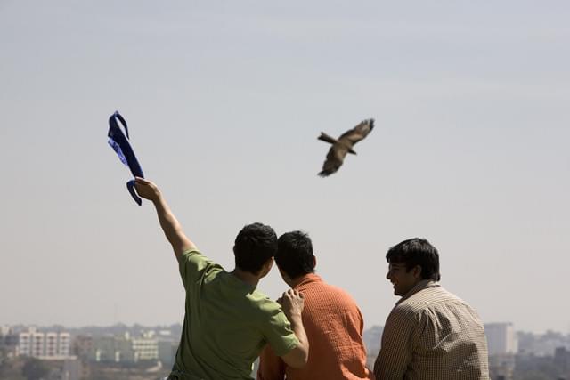 普遍的なメッセージが世界各国で感動を呼んだ!