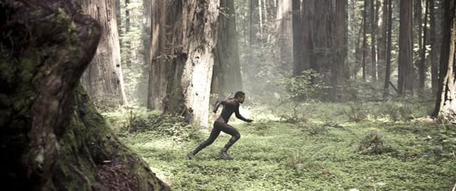 高細密映像で大自然が美しく映し出される