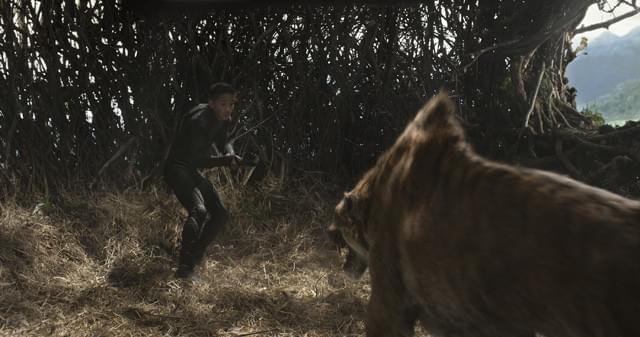 人類を排除するべく進化した猛獣がキタイを襲う