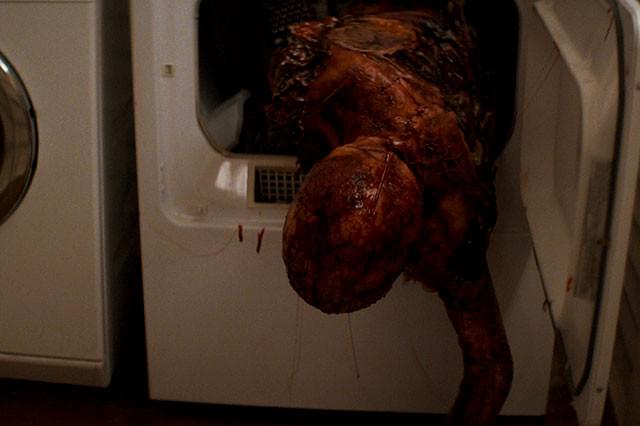 乾燥機からヌルッと飛び出してくる！