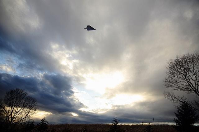 豊かな自然と時間を捉える映像美が出色