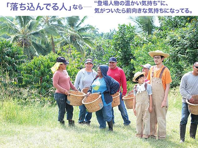 ハワイではコーヒー豆の収穫にもチャレンジ！ 南国の人々は底抜けに明るい！