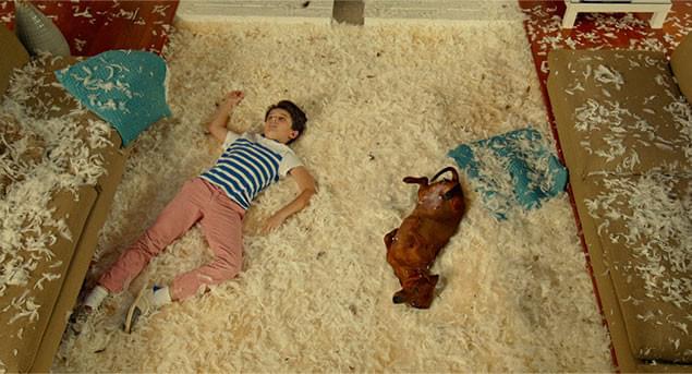 心優しきダックスフントの目を通して、人間の愚かさがさらけ出される衝撃作!