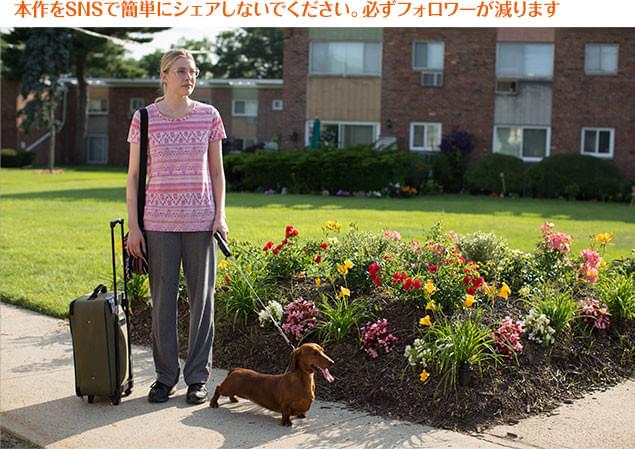 カラフルな色使いや洗練された構図など、一見“オシャレ”な映画に見えるが……