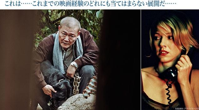 見る者の感覚が徐々にゆがんでいく感覚は、「マルホランド・ドライブ」（右）のよう