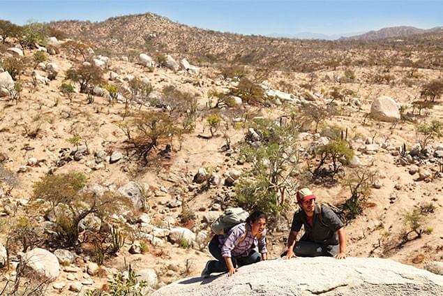 アメリカへの不法入国を試みたメキシコ人たちが、荒野で突然狙撃者に狙われてしまう