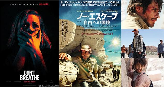 「ドント・ブリーズ」(左)に震えた映画ファンが、次に見るべきは本作(右)だ!