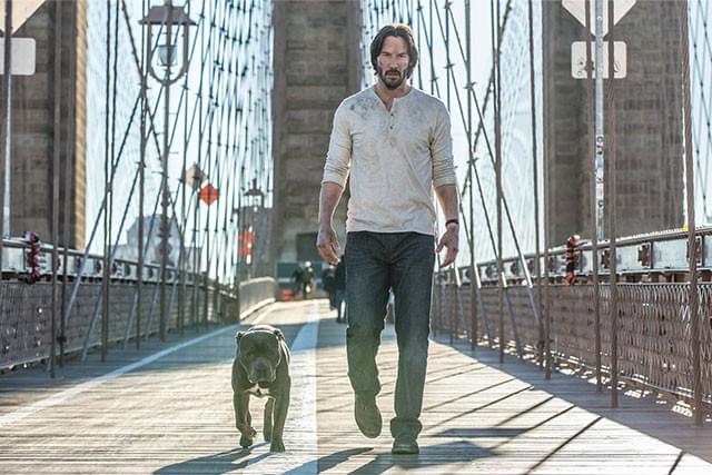 今作で登場する相棒は、ちょっとコワモテ！ ジョン・ウィックの「愛犬」も気になる