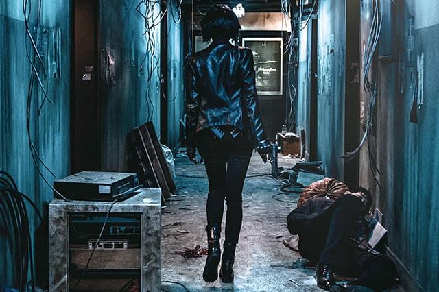 カンヌ公式上映で話題を集め、全世界のアクションファンにその名をとどろかせた衝撃作