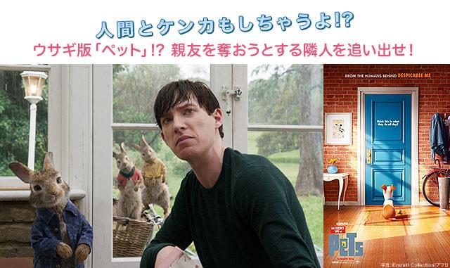 「ペット」（右）でも描かれた「大好きな人の奪い合い」、爆笑度は本作の方が上？