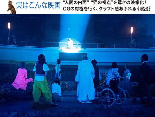 劇場の客席を「橋の上」と「河原」にして、野良猫たちの個性豊かなドラマが描かれる