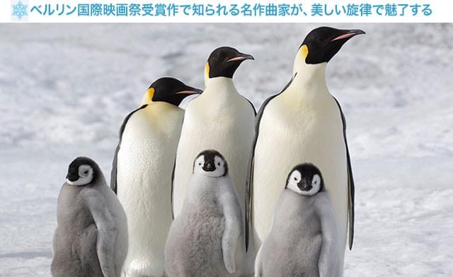 美しい風景と愛らしいペンギンたちのドラマが、名曲によってさらに際立つ