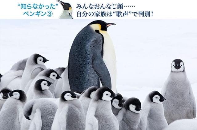 ウチの子はどれだ……? みんな同じ顔に見える中から、驚きの方法で我が子を発見!