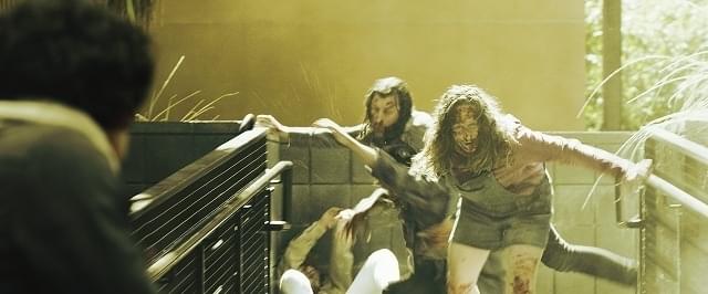 「クレイジーズ 42日後」より