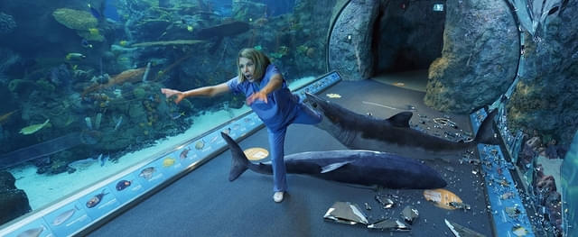 4月28日放送「シーワールドZ」より