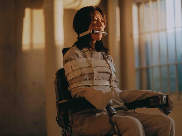 木村佳乃にも要注目！